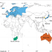 Insect invasion success depends on taxon ...